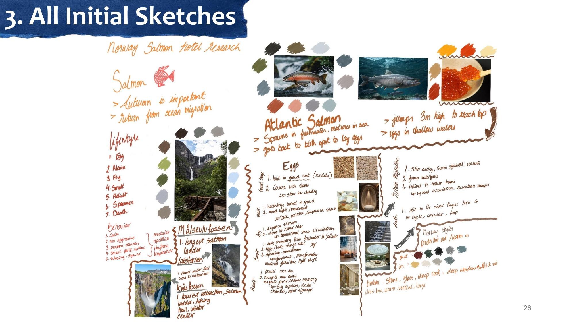 Initial research & spatial sketches