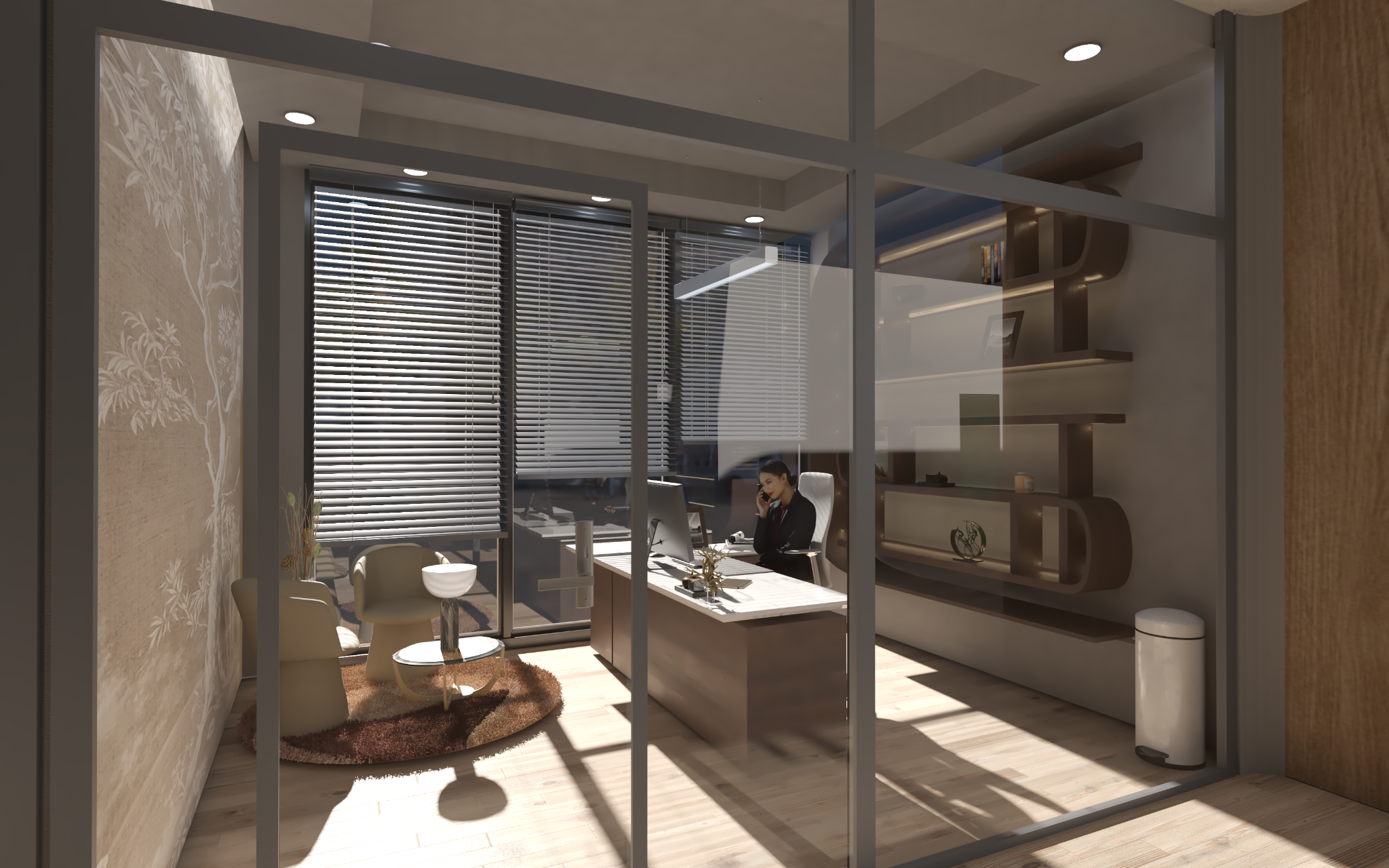 Private office through glass